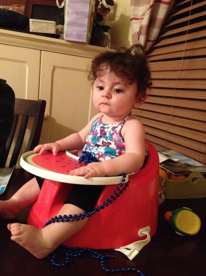 Abby cautiously watching the dogs (slightly out of the picture)