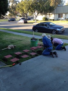 Sarah and Fritz, hard at work :)