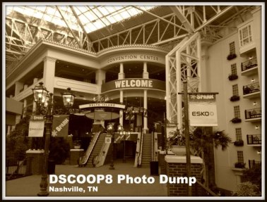 DSCOOP8